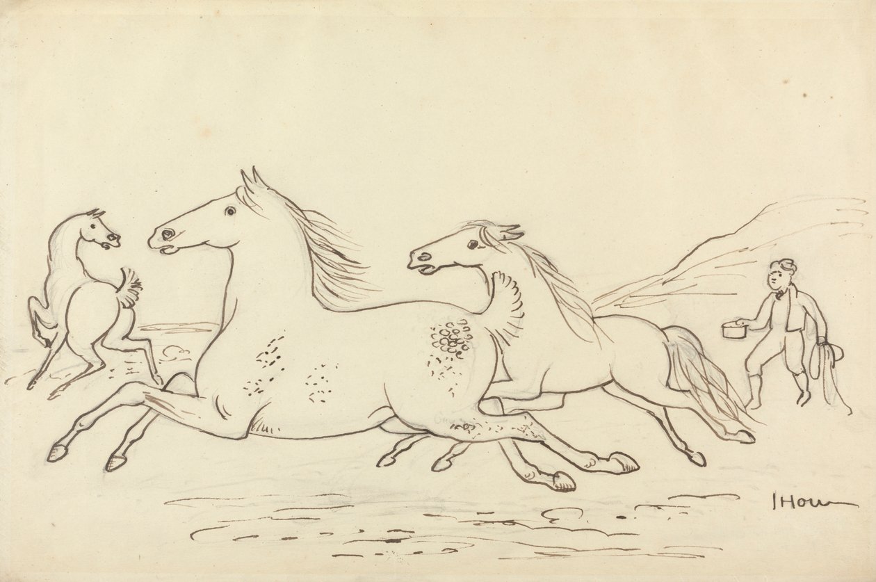 Drie paarden en staljongen door James Howe