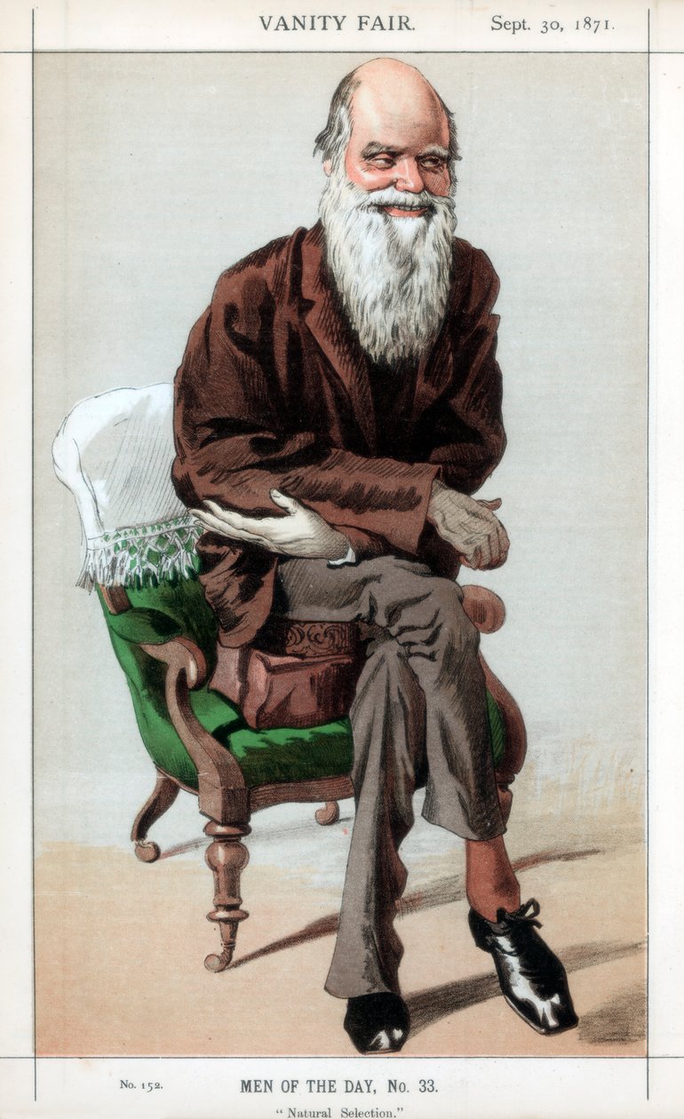 Natuurlijke Selectie, 1871 door James Jacques Joseph Tissot