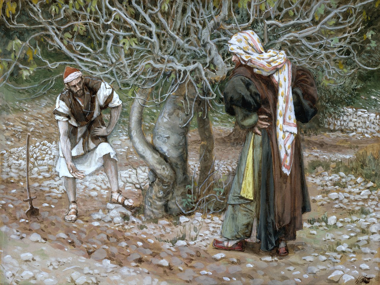 De onvruchtbare vijgenboom, illustratie voor Het leven van Christus, ca. 1886-94 door James Jacques Joseph Tissot