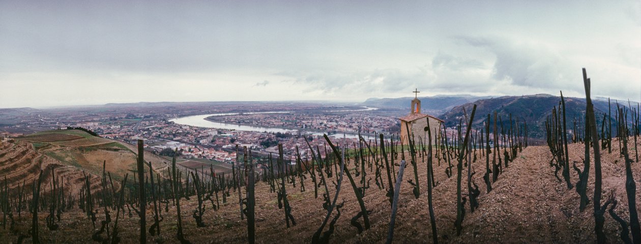 Een wijngaard met uitzicht op de stad en de Rhône. SOCIETE PAUL JABOULET AINE WIJN... door James L Stanfield