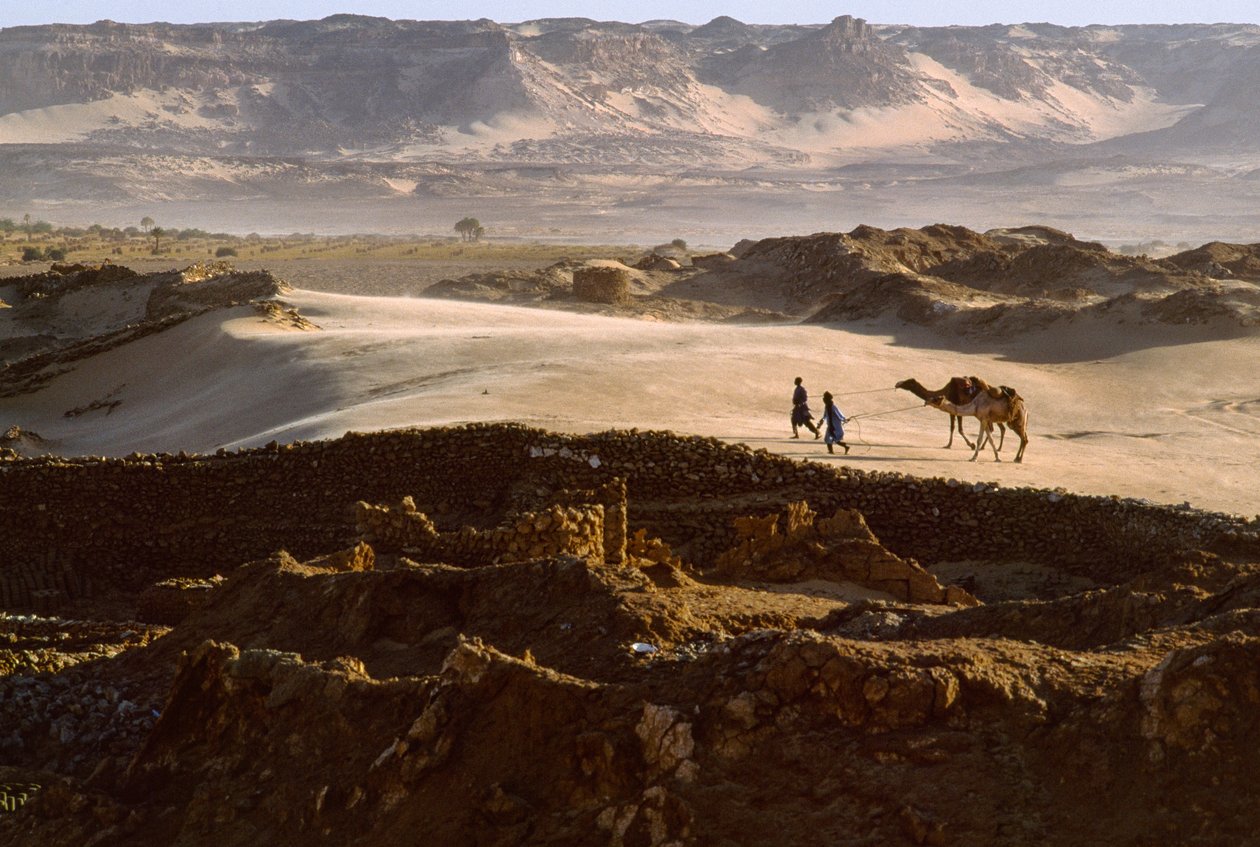 Kameel met leden van zoutkaravaan steekt een woestijnplateau over in BILMA, NIGER door James L Stanfield