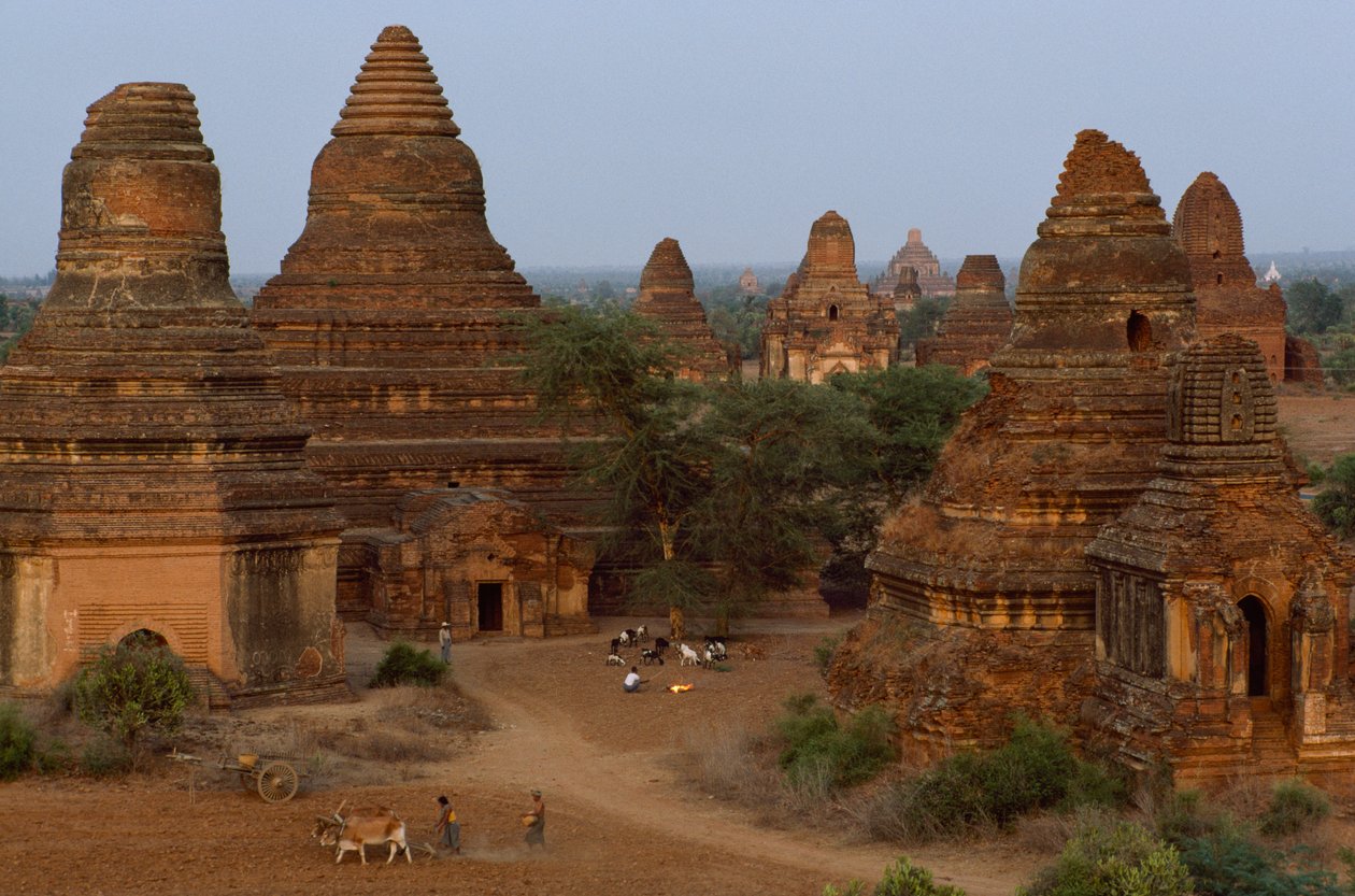 Man Aung-pagodes met boeren, Myanmar door James L Stanfield