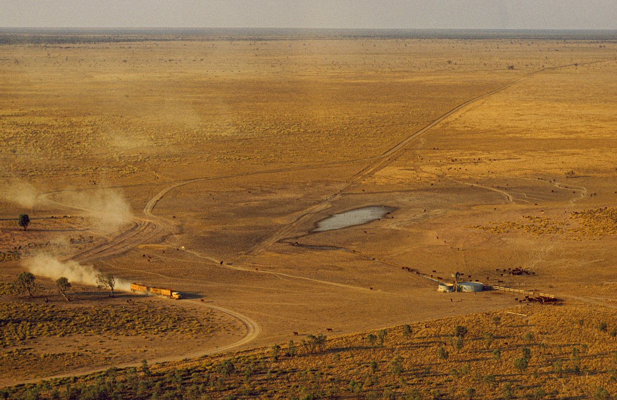 Wegtrein die vee vervoert, steekt een onherbergzaam outback-plateau over. West-Australië, Australië door James L Stanfield
