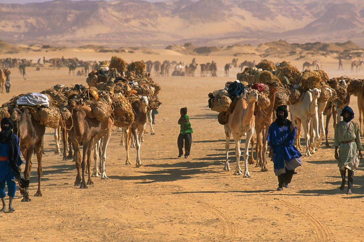 Zoutkaravaan buiten Fachi. NABIJ FACHI, NIGER. door James L Stanfield
