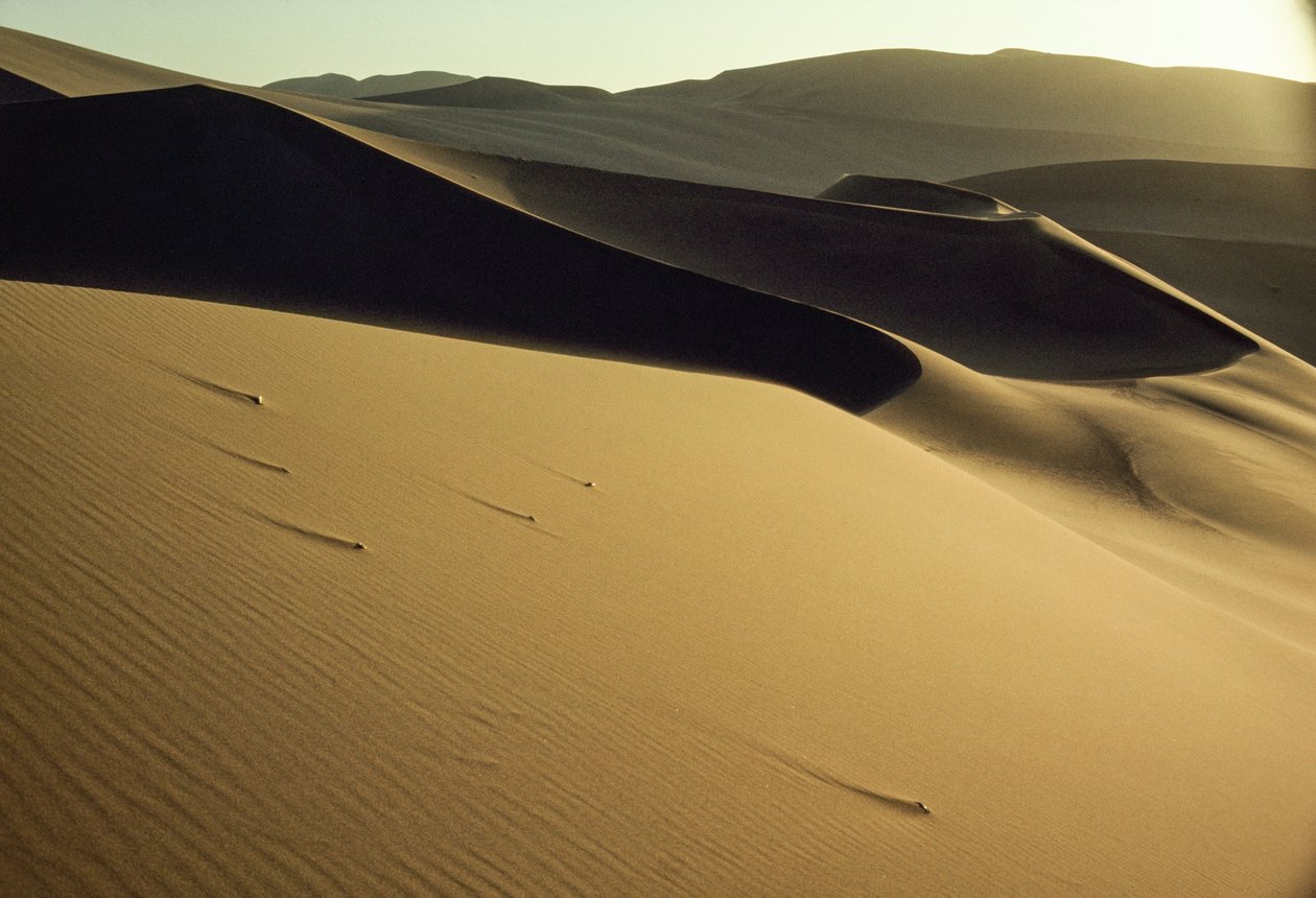 Uitzicht op scherp gesneden schaduwrijke duinen nabij Dunhuang. Gansu Provincie, Volksrepubliek China door James L Stanfield