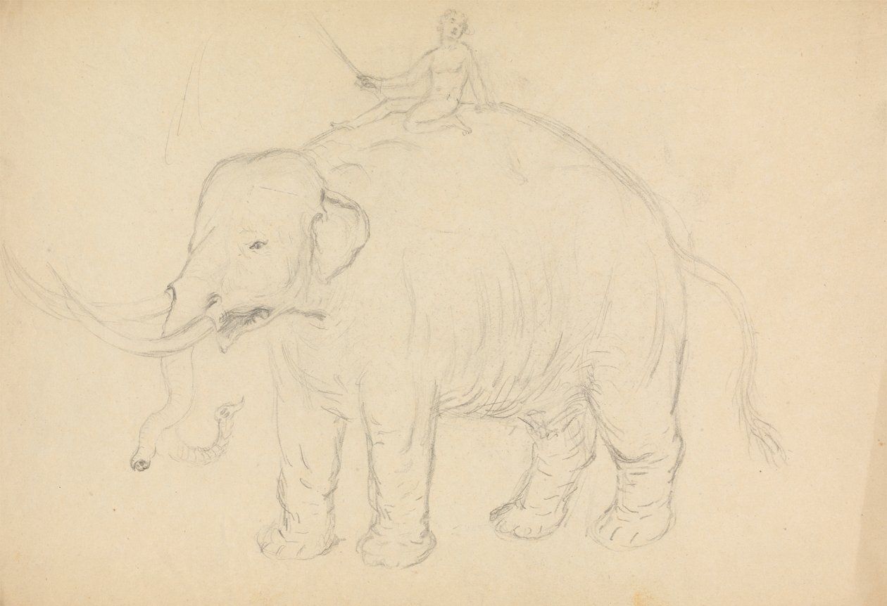 Olifant met ruiter door James Sowerby