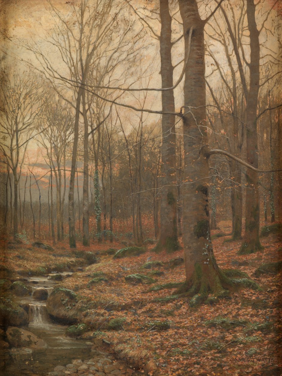 Winter in het bos, Betws-y-Coed (aquarel en bodycolour) door James Thomas Watts