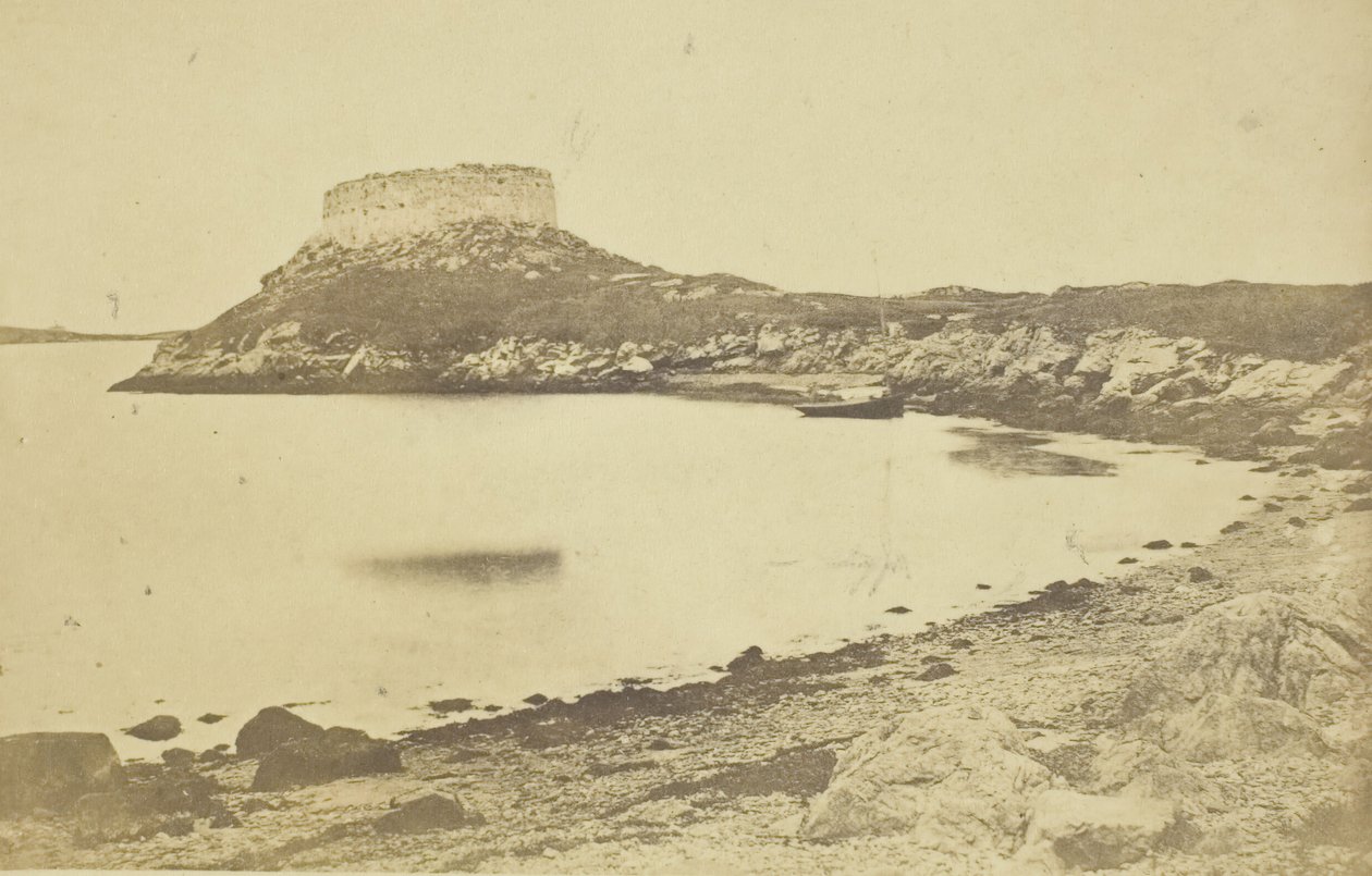 Fort Dumplings door James Wallace Black