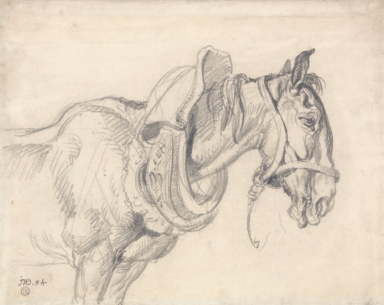 Hoofd en schouders van een karrenpaard door James Ward
