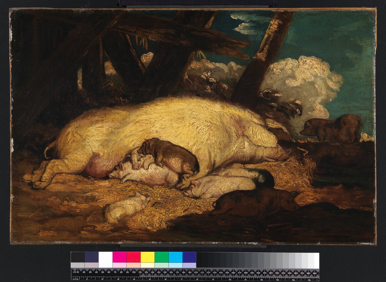 Varkens, niet voor 1793 door James Ward