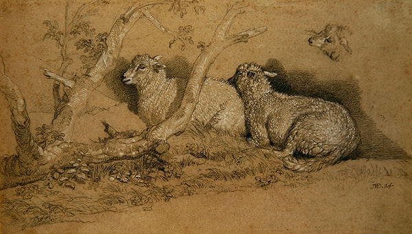 Schapen rustend in een beboste kreupelbos en een studie van het hoofd van een schaap door James Ward