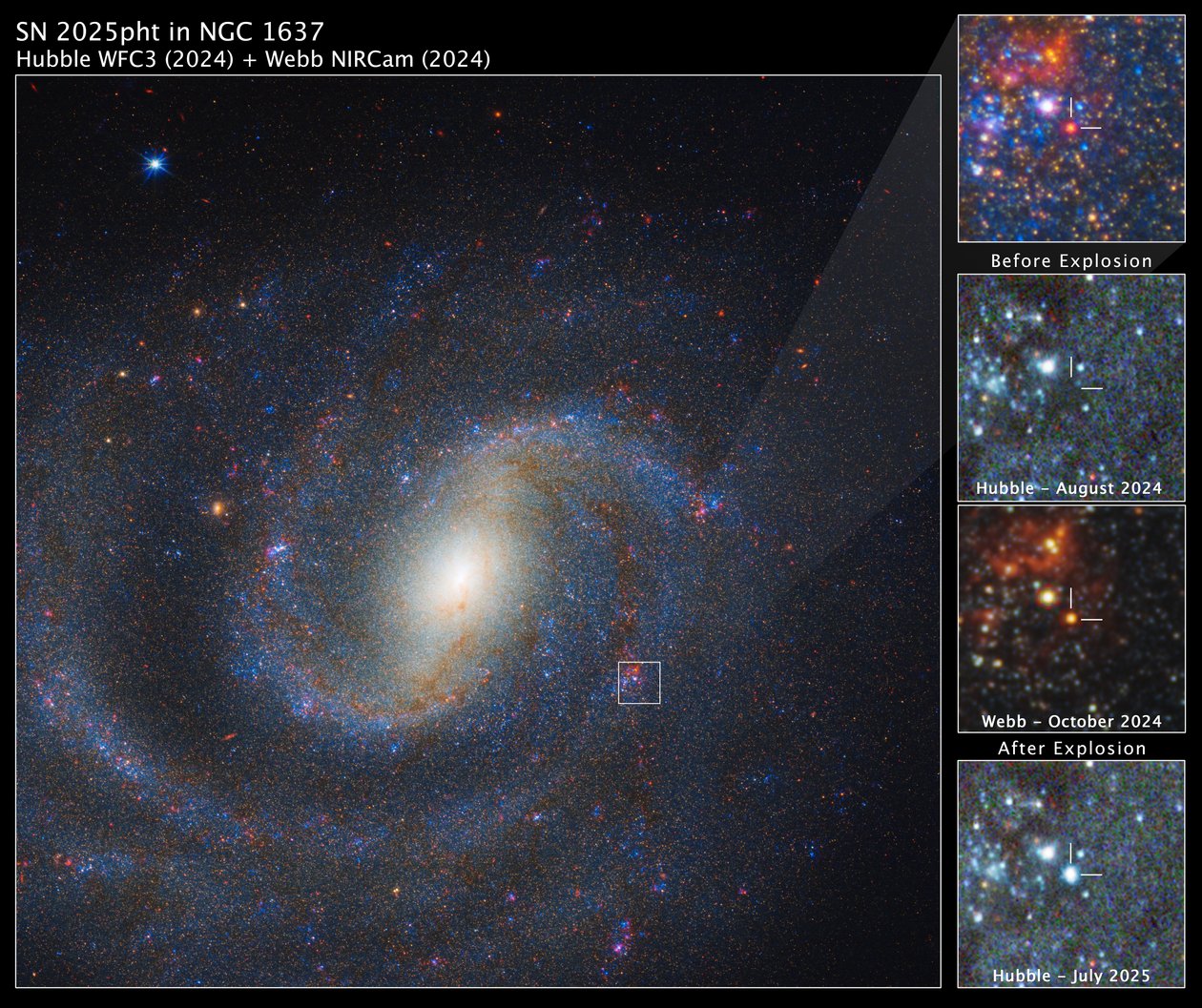 SN 2025pht in NGC 1637 door James Webb Space Telescope (NASA)