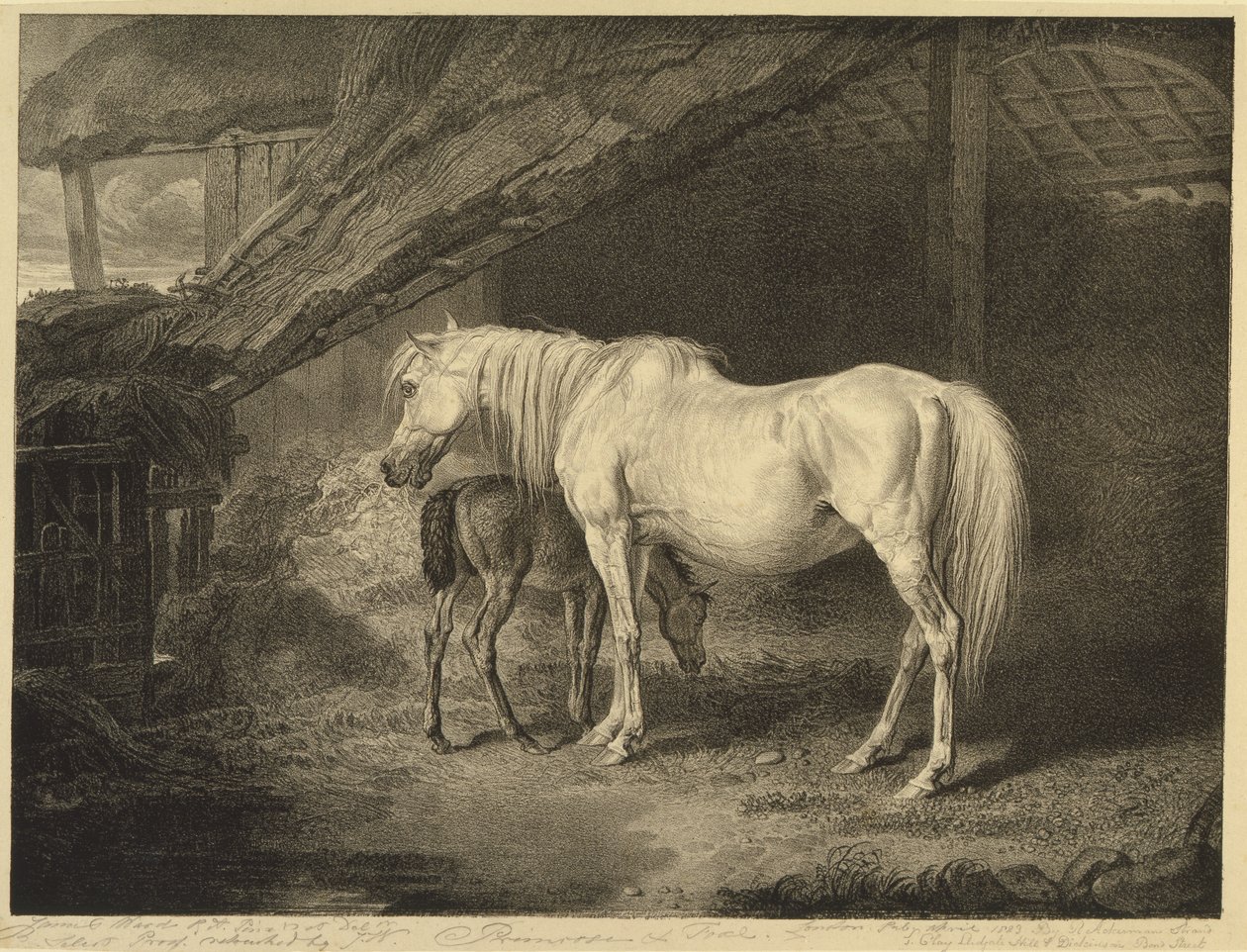 Primrose en veulen, uit Beroemde paarden, een set van veertien raceprenten gepubliceerd door de kunstenaar, 1823-24 door James after Ward