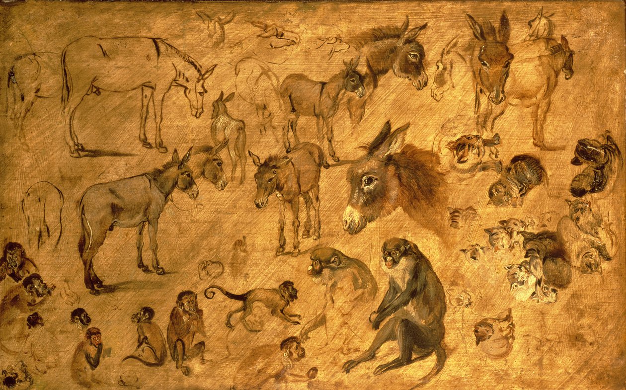 Studie van ezels, kittens en apen, 1616 door Jan the Elder Brueghel