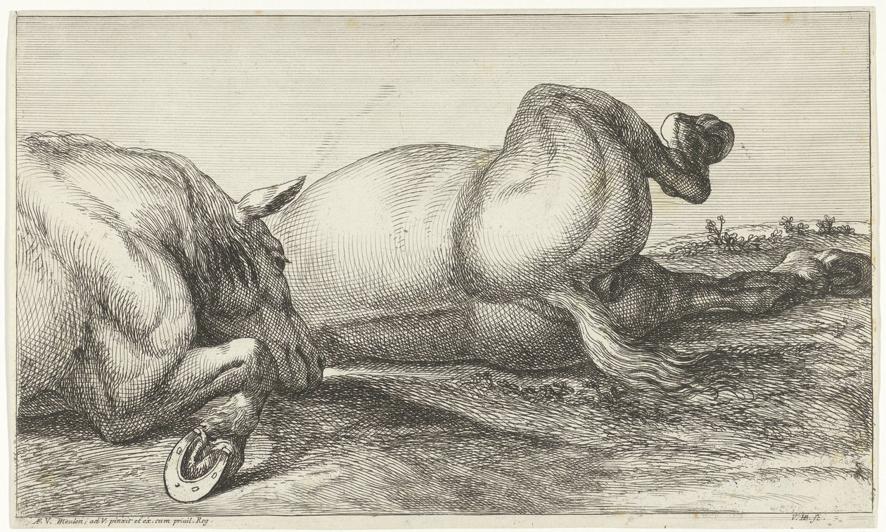 Twee paarden gedood in actie liggend op een rij door Jan van Huchtenburgh