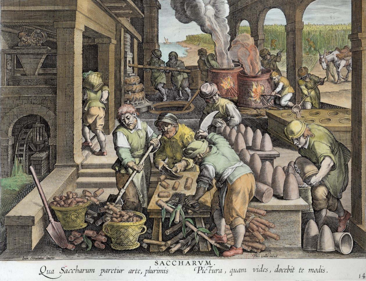 Een suikerfabriek en de productie van suikerbroden, plaat 14 uit 