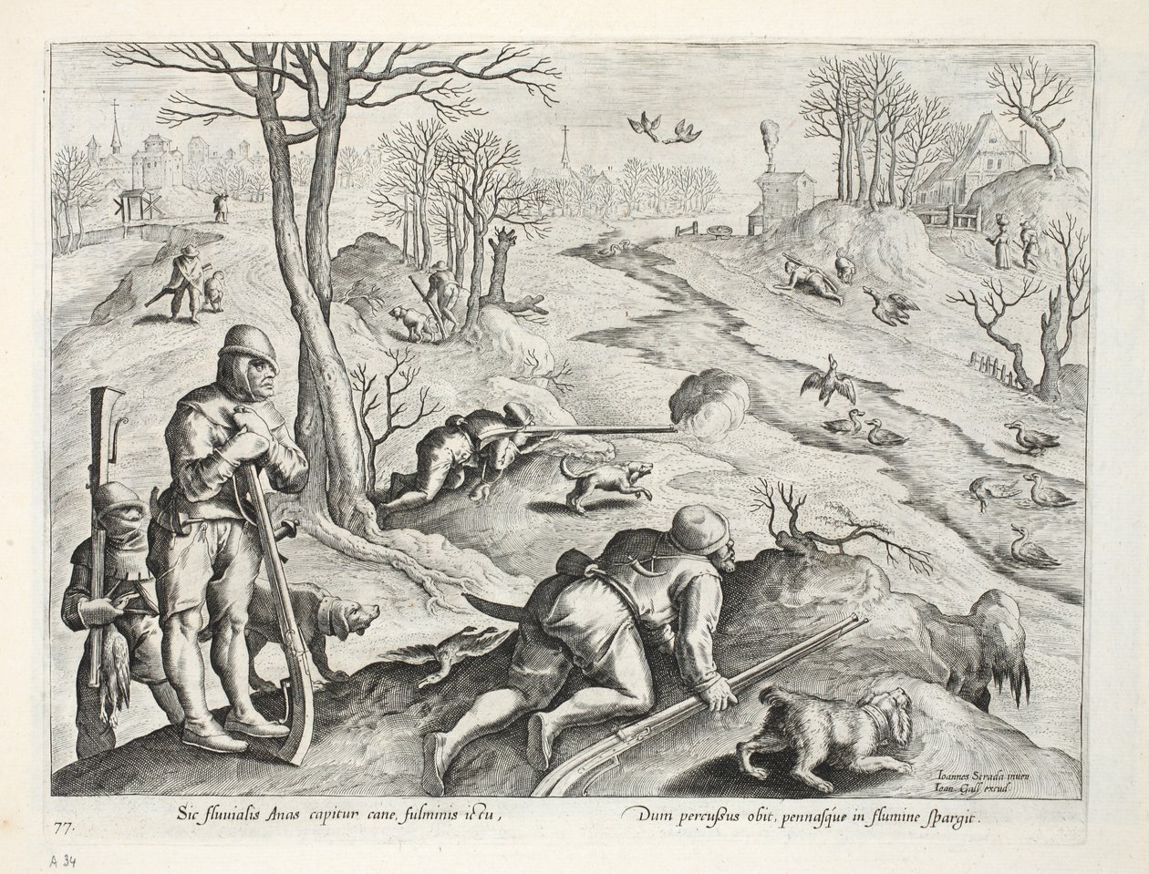 Eendenschieten, illustratie uit 
