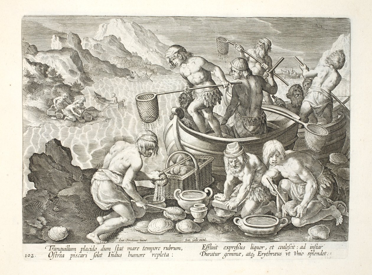 Inboorlingen vissen op reuzenmosselen in de Indus, plaat 102, illustratie uit 