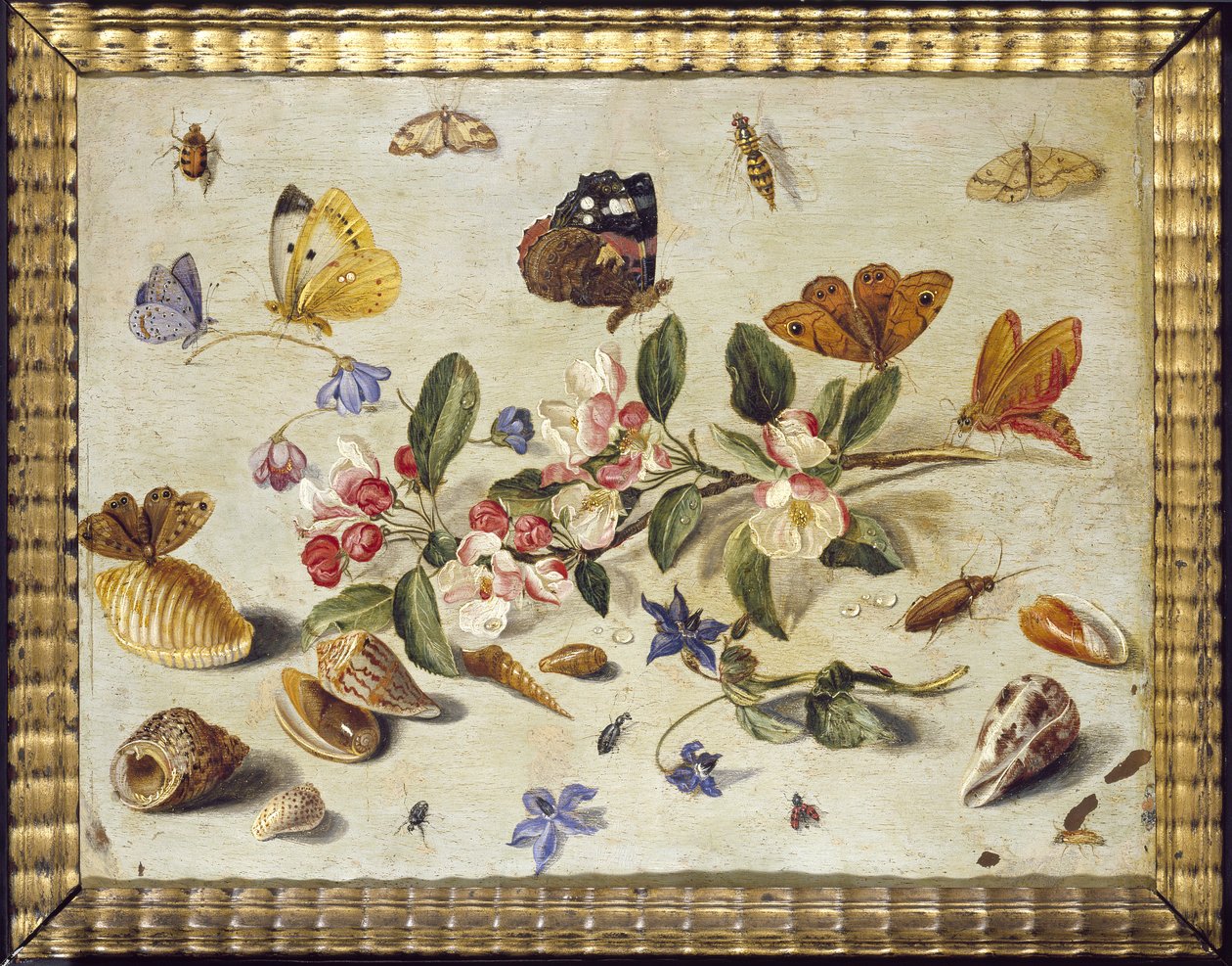 Een studie van bloemen en insecten door Jan van Kessel the Elder