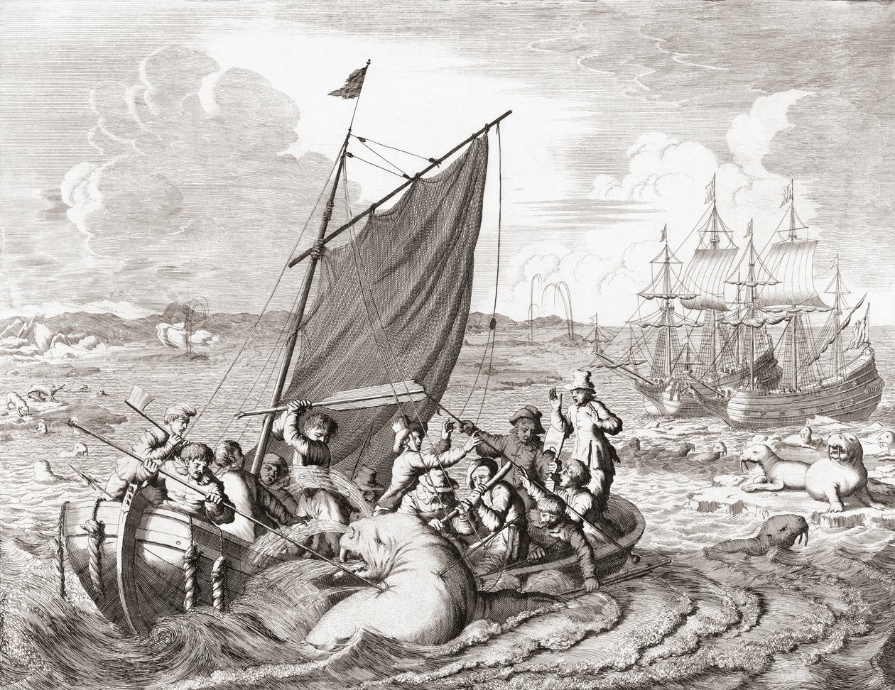 Walrusjagers in de 16e eeuw (gravure) door Jan (after) Luyken