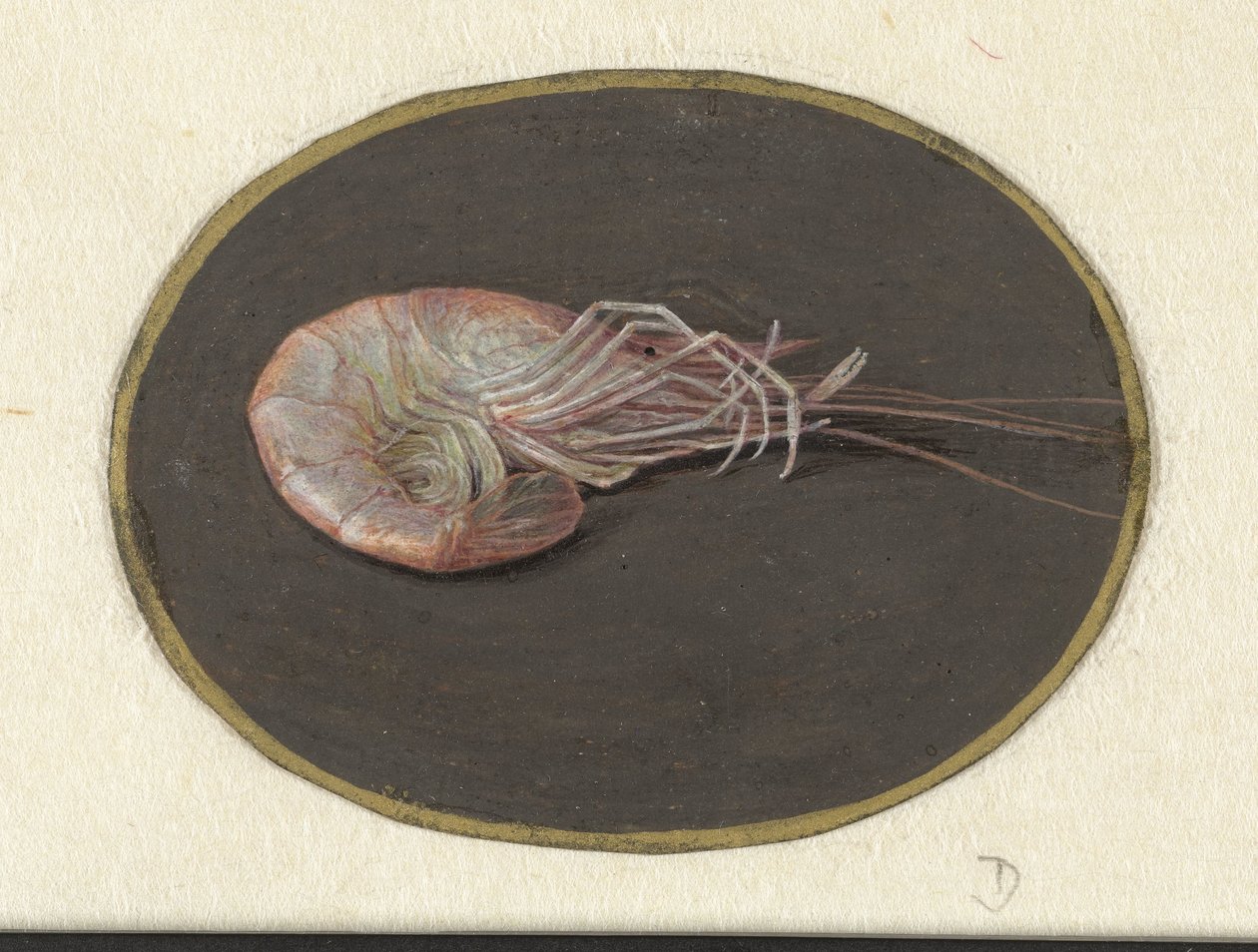 Garnaal door Jan Augustin van der Goes