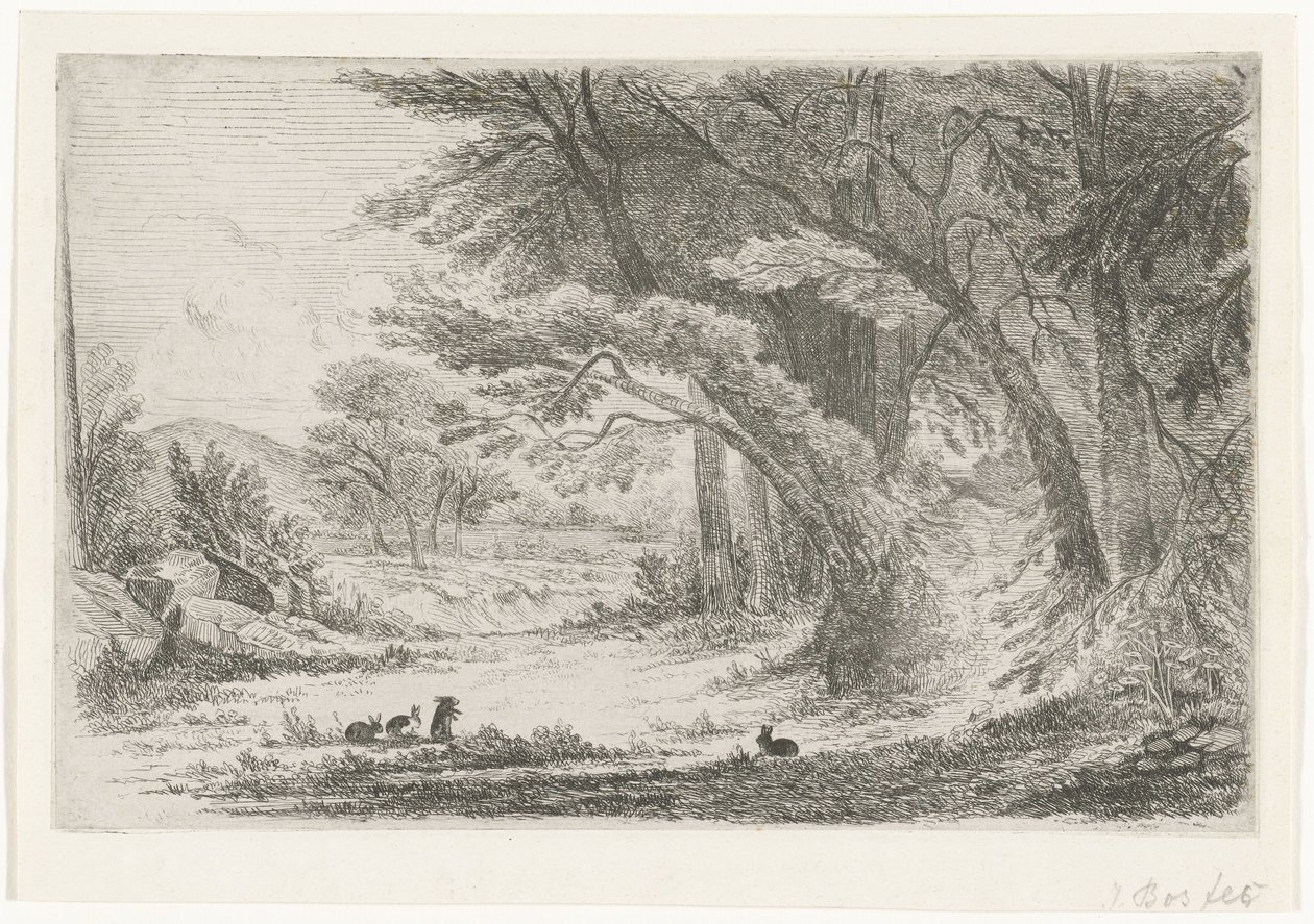 Bosrand met konijnen door Jan Bos Wz. (signed by artist)