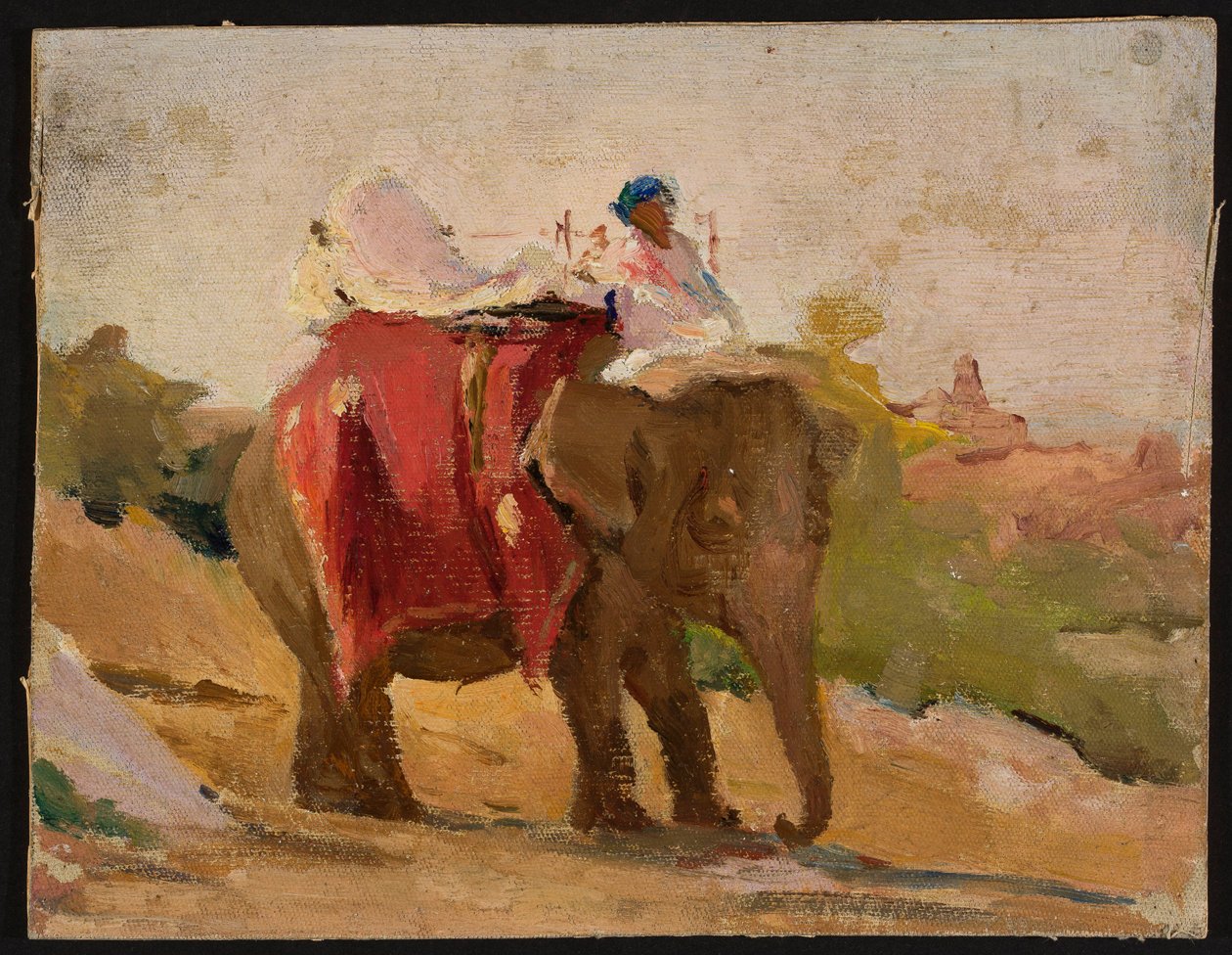 Chitorgarh – mijn olifant. Uit mijn reis naar India door Jan Ciągliński