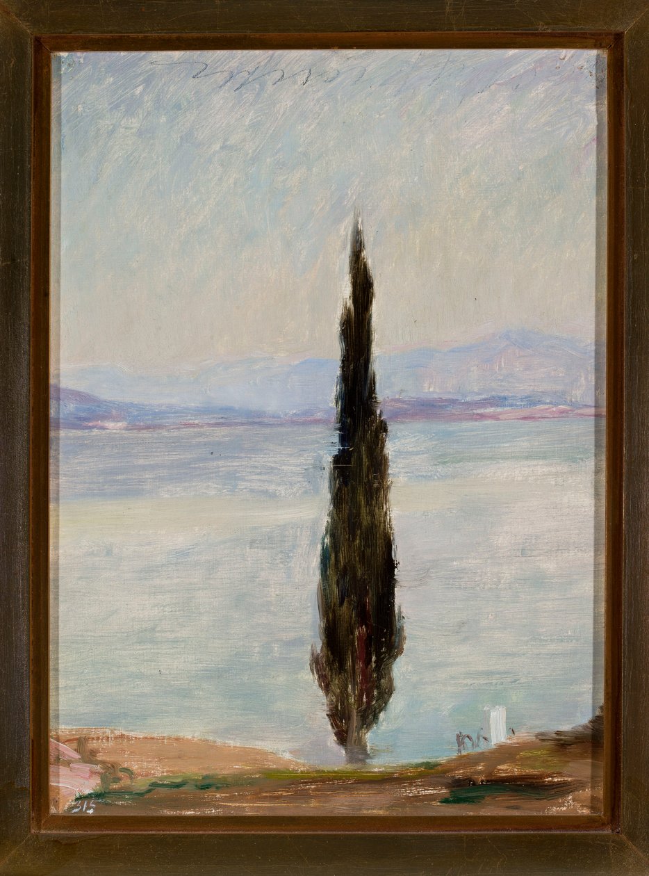 Cyprus. Uit een reis naar Constantinopel door Jan Ciągliński