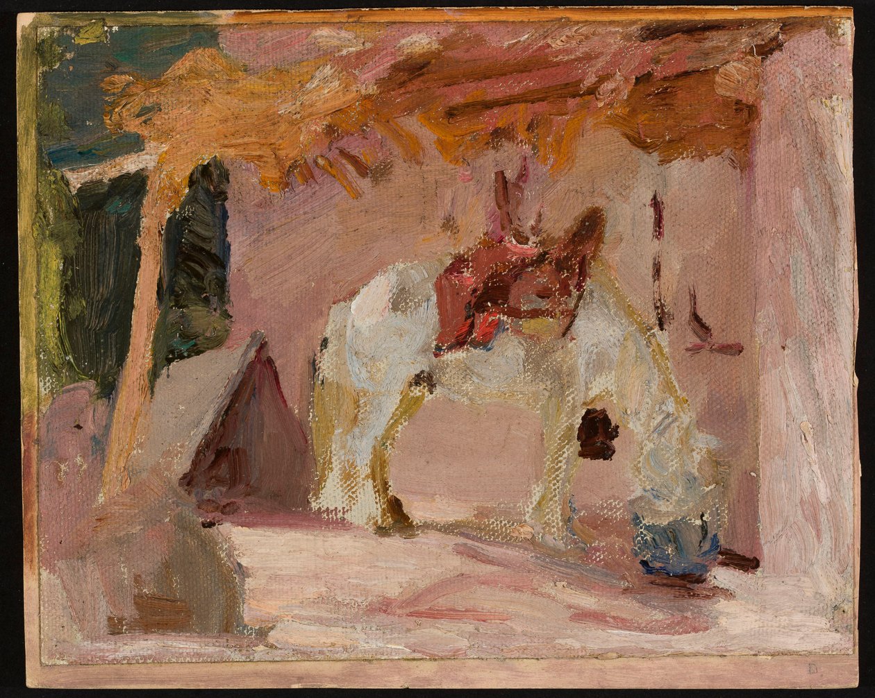 Pferd. Aus der Reise nach Turkestan door Jan Ciągliński