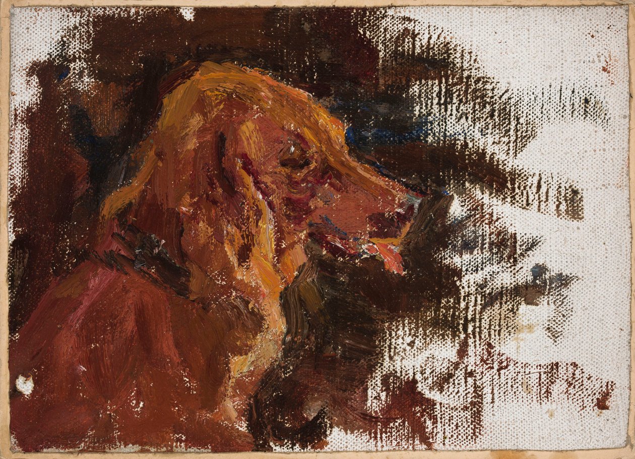 Mariino - Studie van de kop van een hond voor "Portret van prins Golitsyn" door Jan Ciągliński