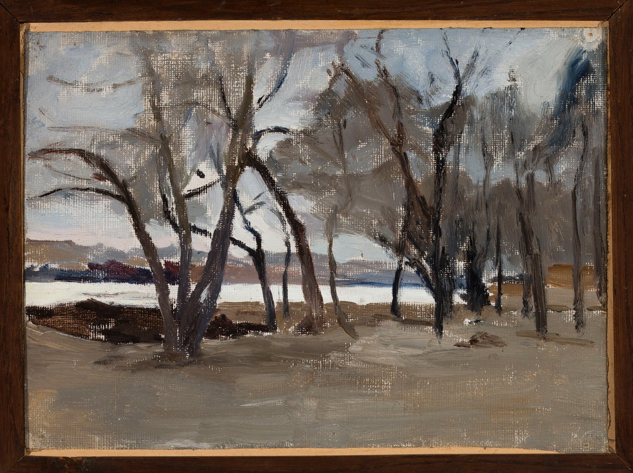 Winterlandschap - park op het eiland Petrovski door Jan Ciągliński