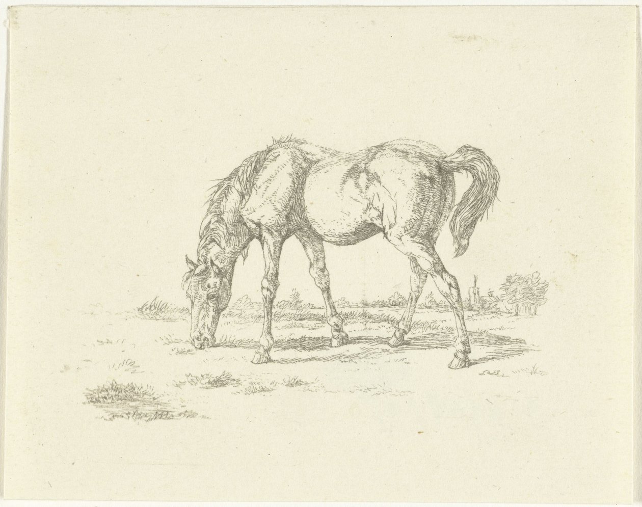 Grazend paard naar rechts door Jan Dasveldt