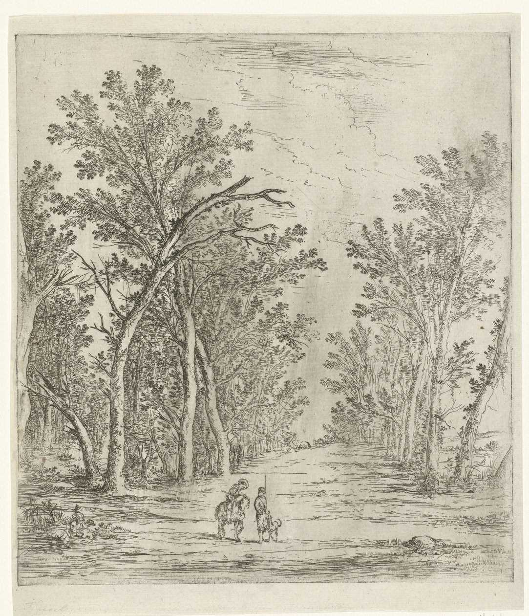 Bospad door Jan Fouceel