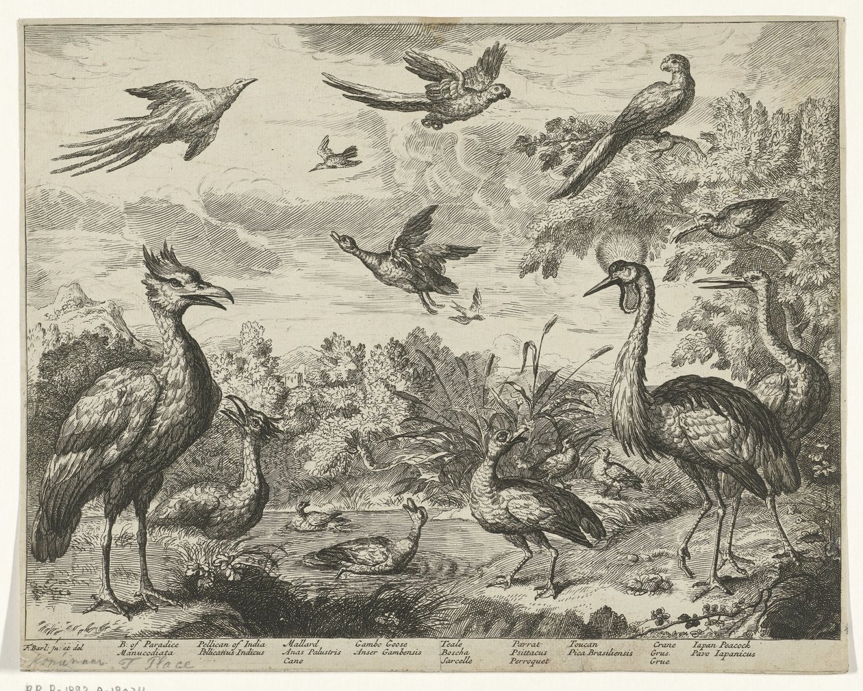 Verschillende vogels in een landschap door Jan Griffier (I) (copy after)