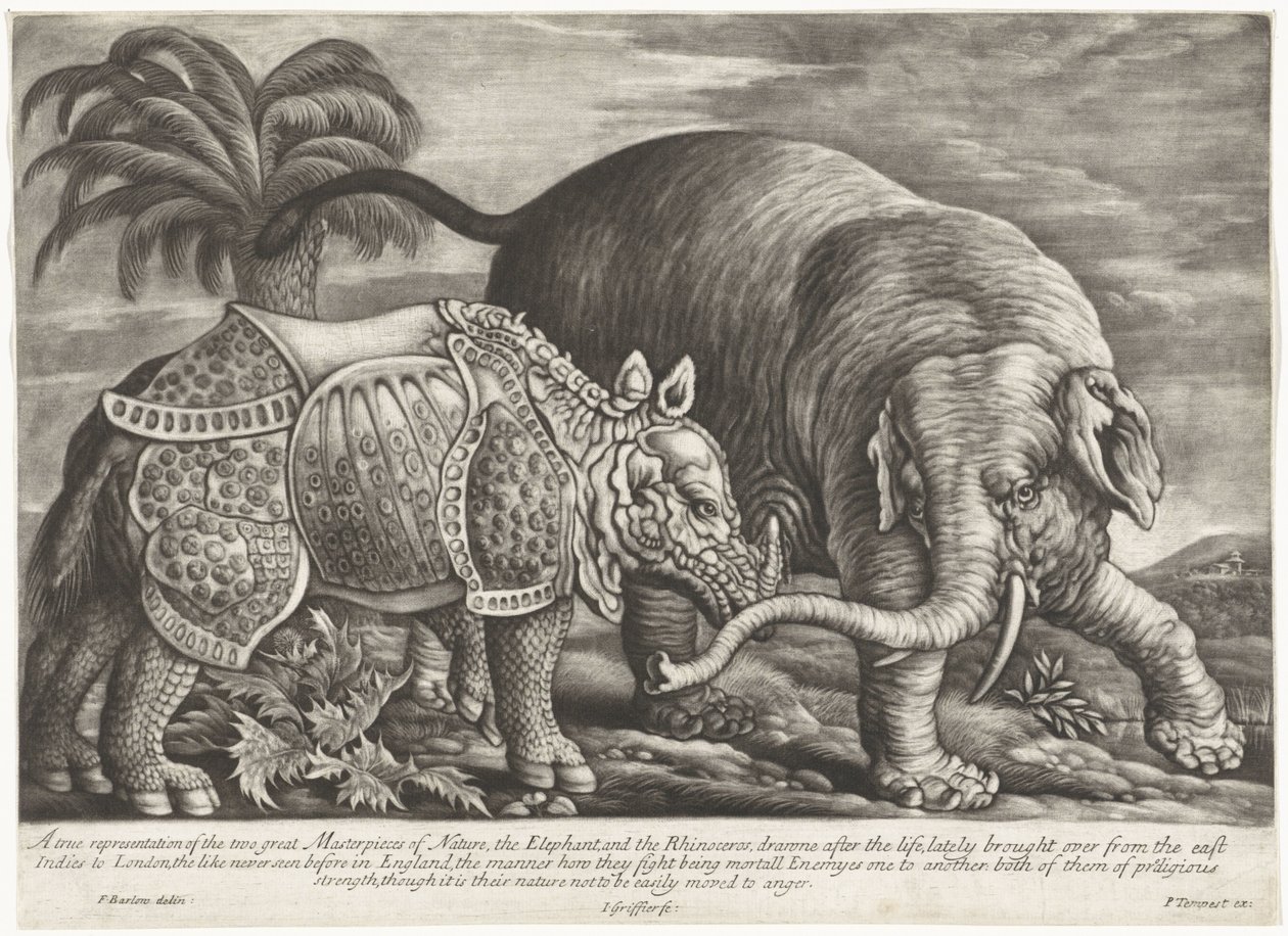 Olifant en neushoorn door Jan Griffier (I)