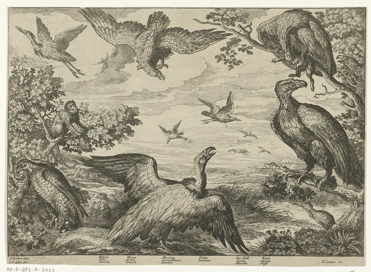 Verschillende vogels en een aap door Jan Griffier (I)