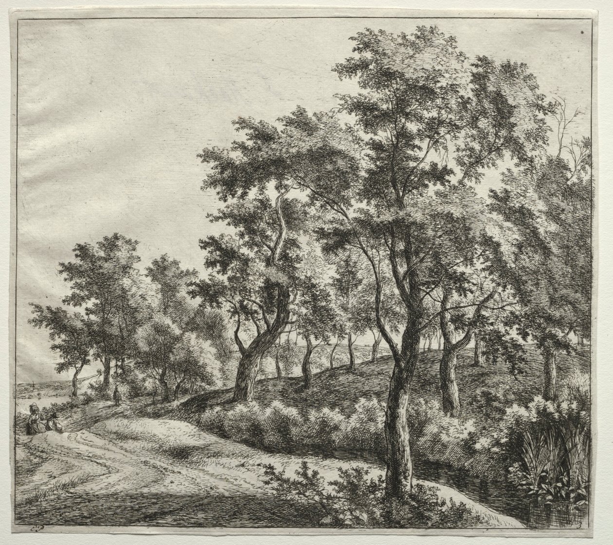 De smalle stroom door Jan Hackaert