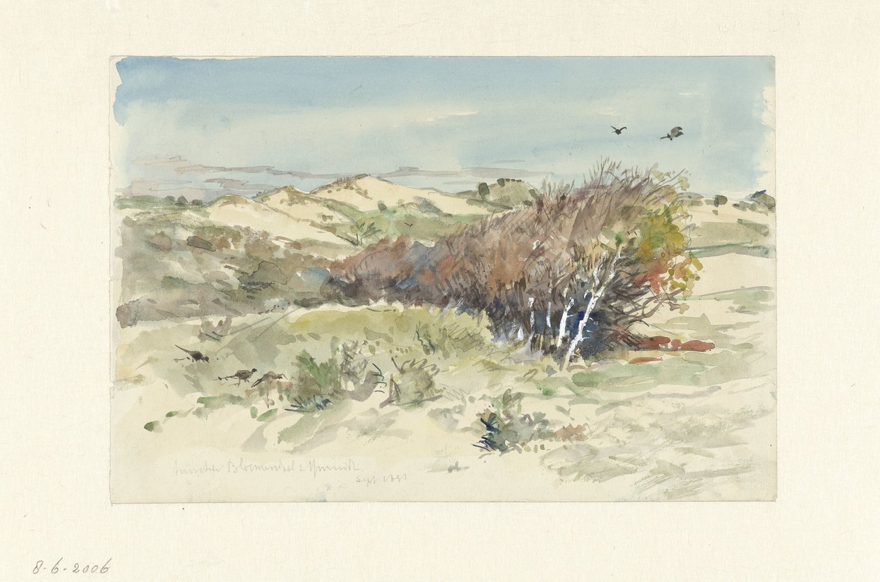 Duinlandschap tussen Bloemendaal en IJmuiden door Jan Hoynck van Papendrecht
