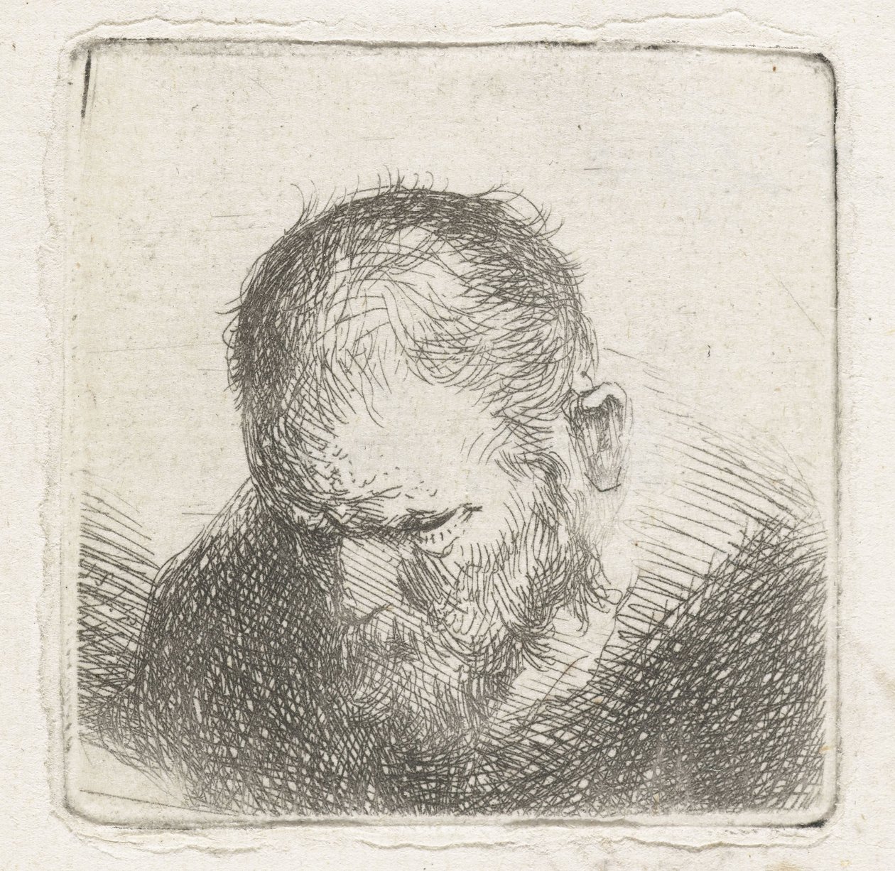 Man met baard door Jan Lievens (possibly)