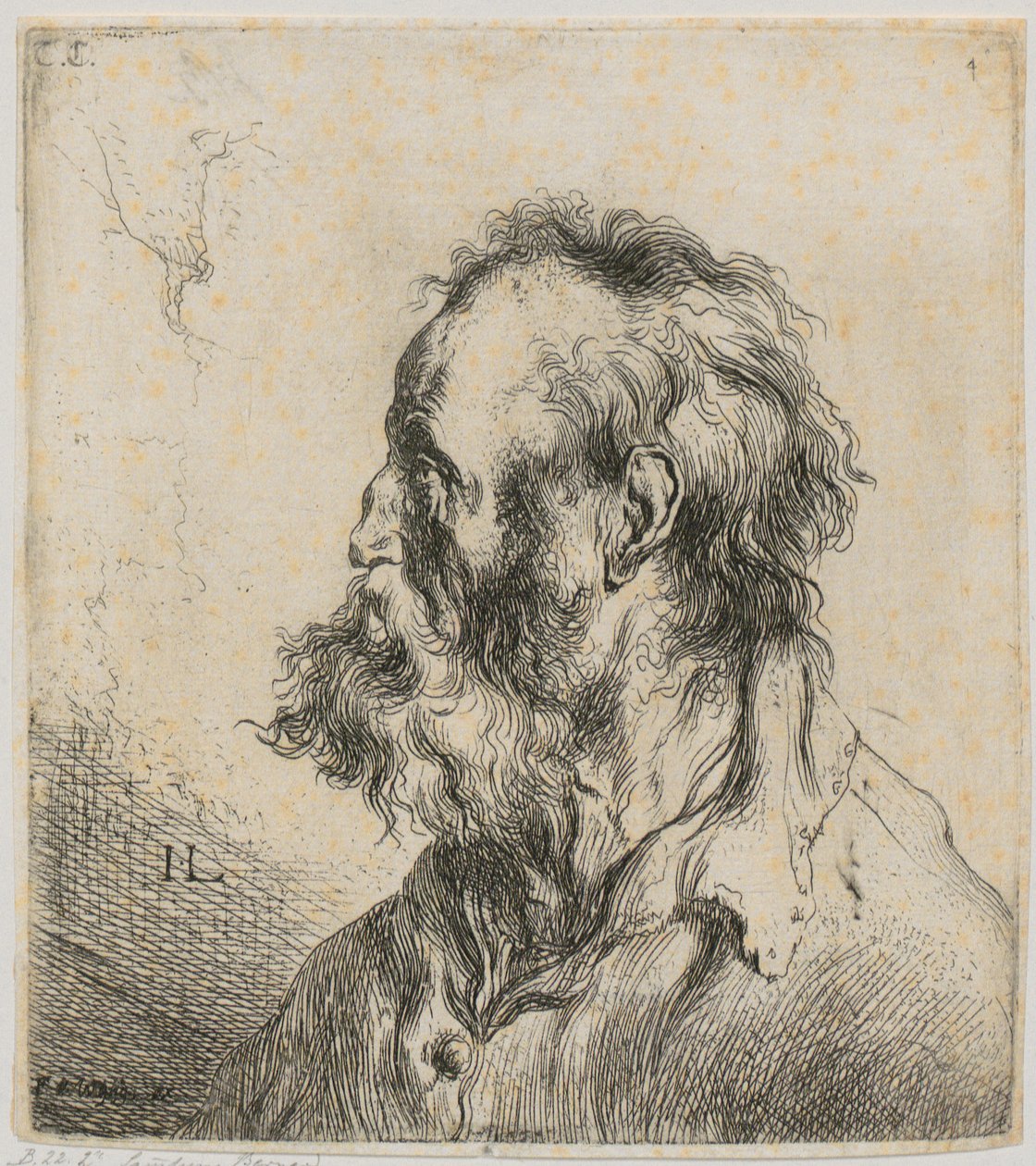 Borstbeeld van een bebaarde oude man door Jan Lievens