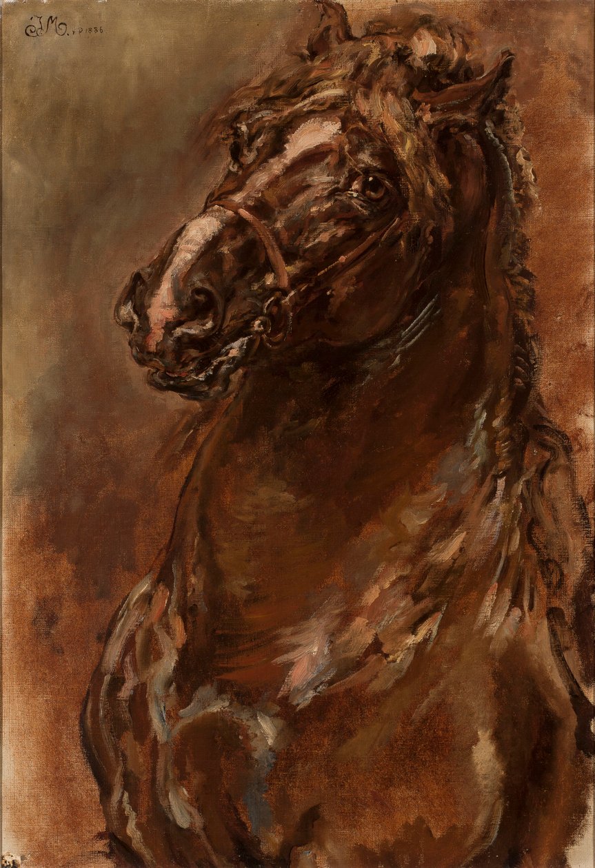 Studie van een paardenhoofd voor „De Maagd van Orléans“ door Jan Matejko