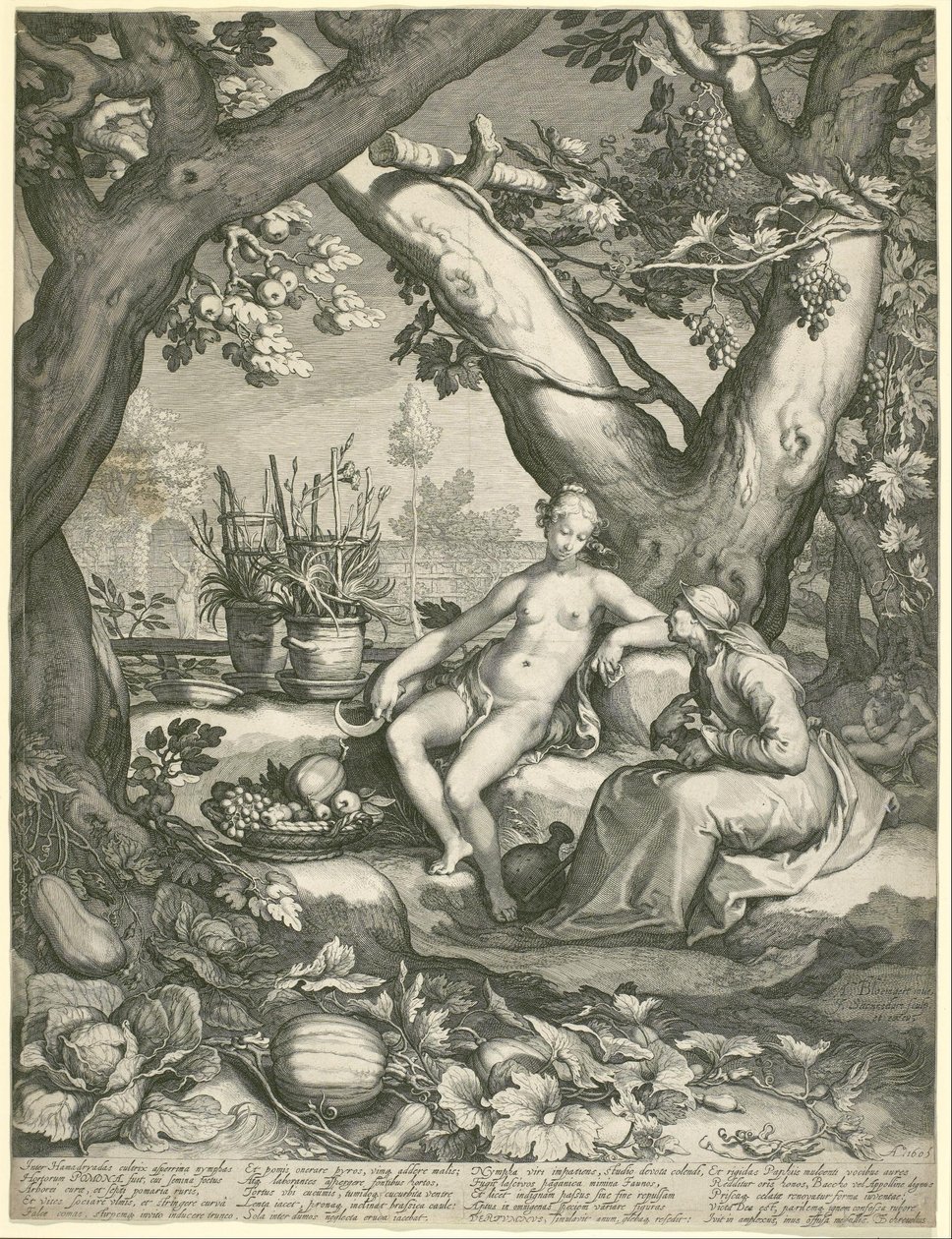 Vertumnus leent de gestalte van een oude vrouw om Pomona