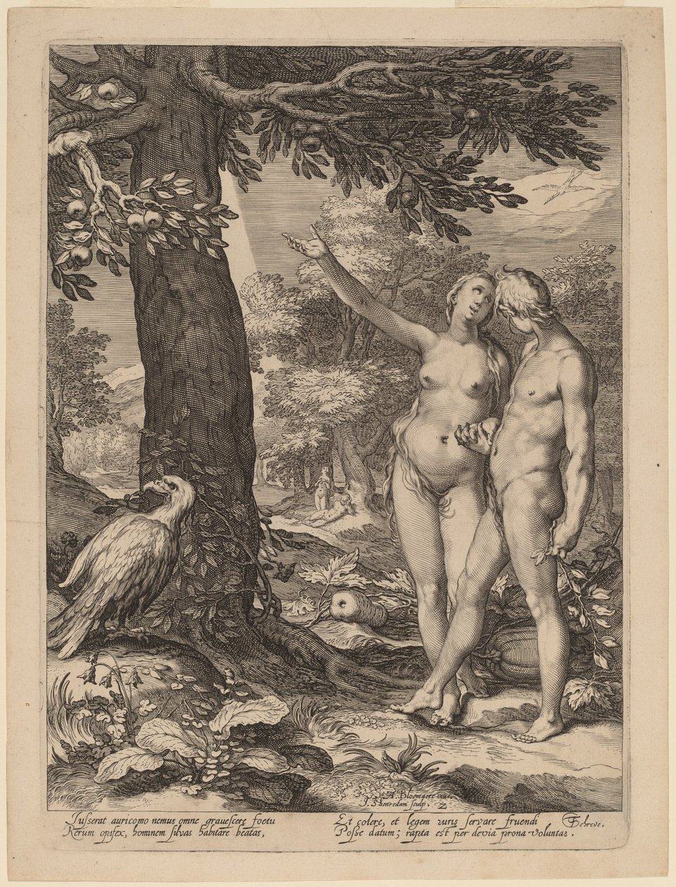 Adam en Eva voor de Boom van Kennis door Jan Pietersz Saenredam after Abraham Bloemaert