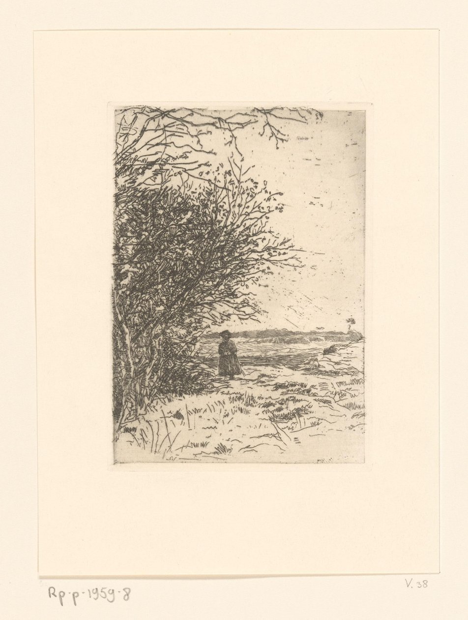 Vrouw in een landschap door Jan Veth