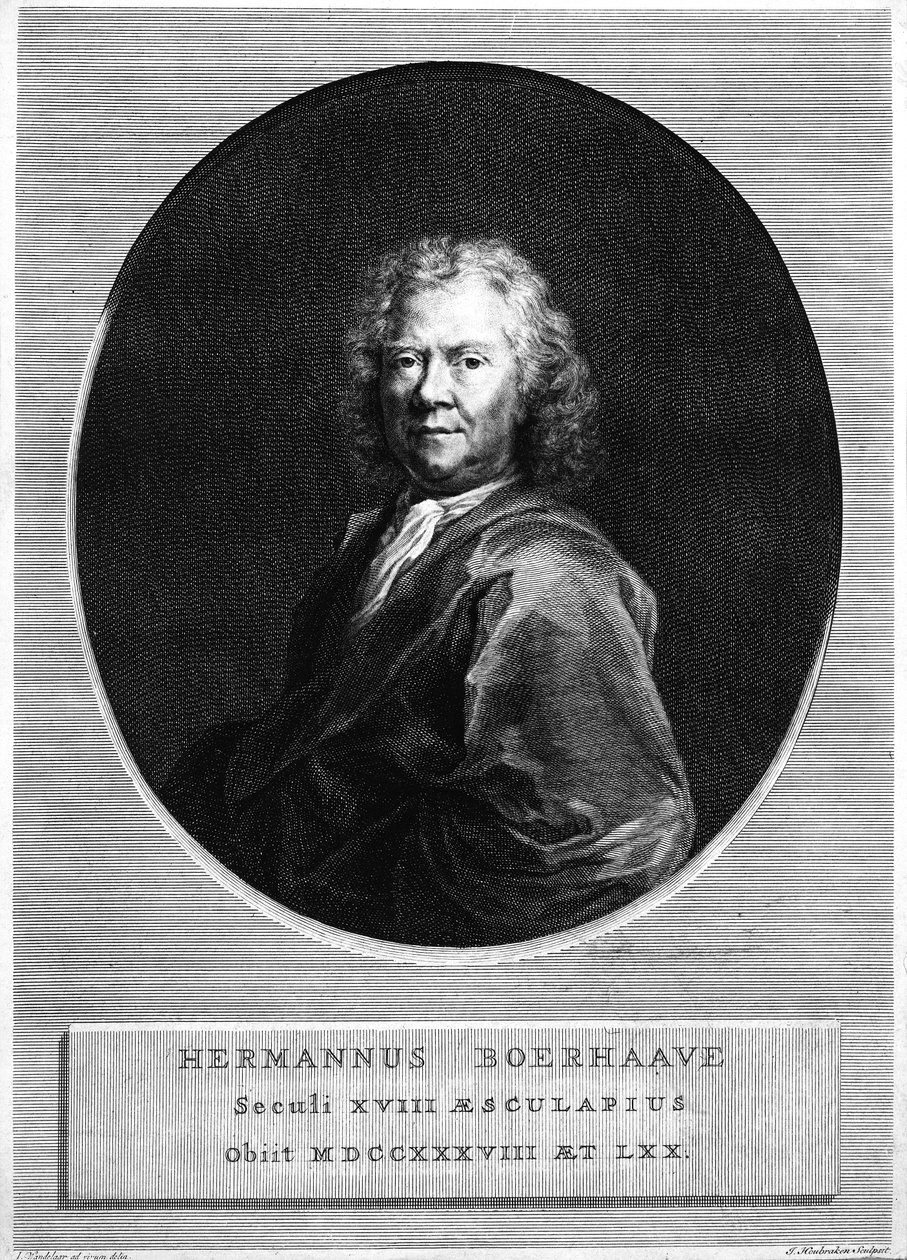 Herman Boerhaave, gegraveerd door Jacobus Houbraken door Jan Wandelaar