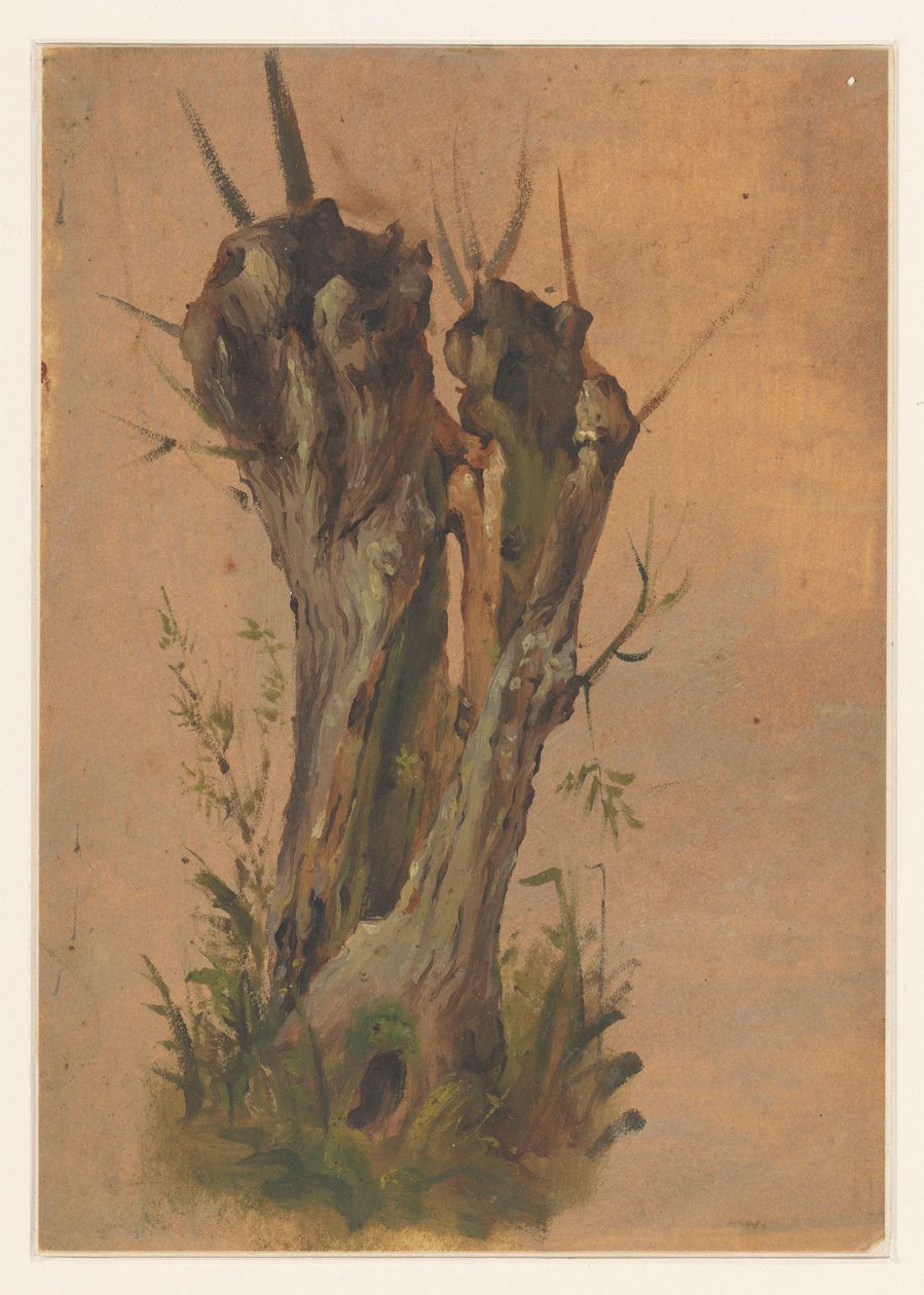 Knotwilg door Jan Weissenbruch