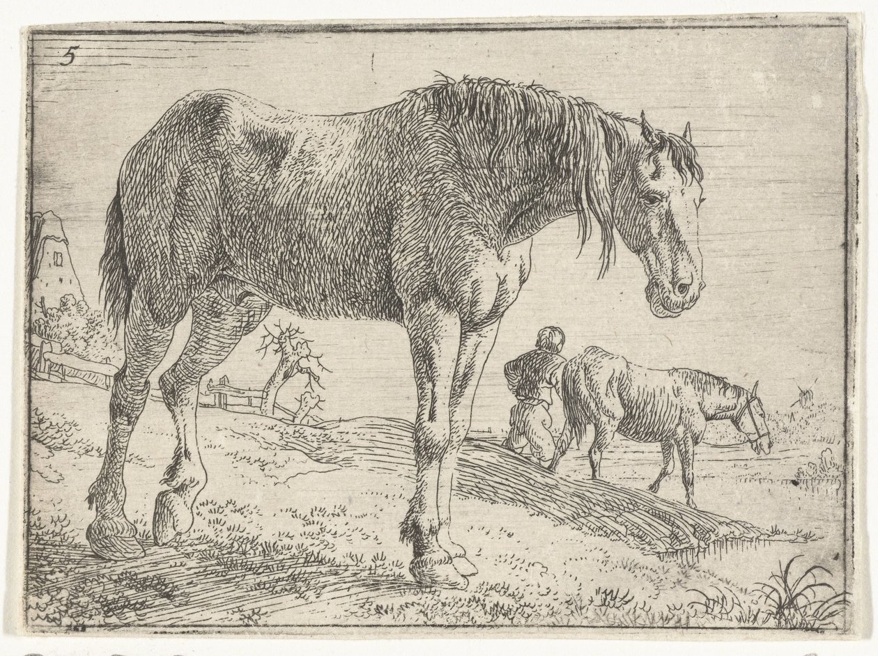 Staand paard Landschappen met paarden (serie titel) door Jan van Aken