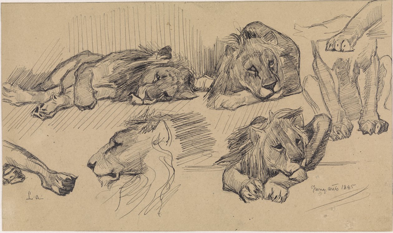 Studieblad met leeuwen door Jan van Essen