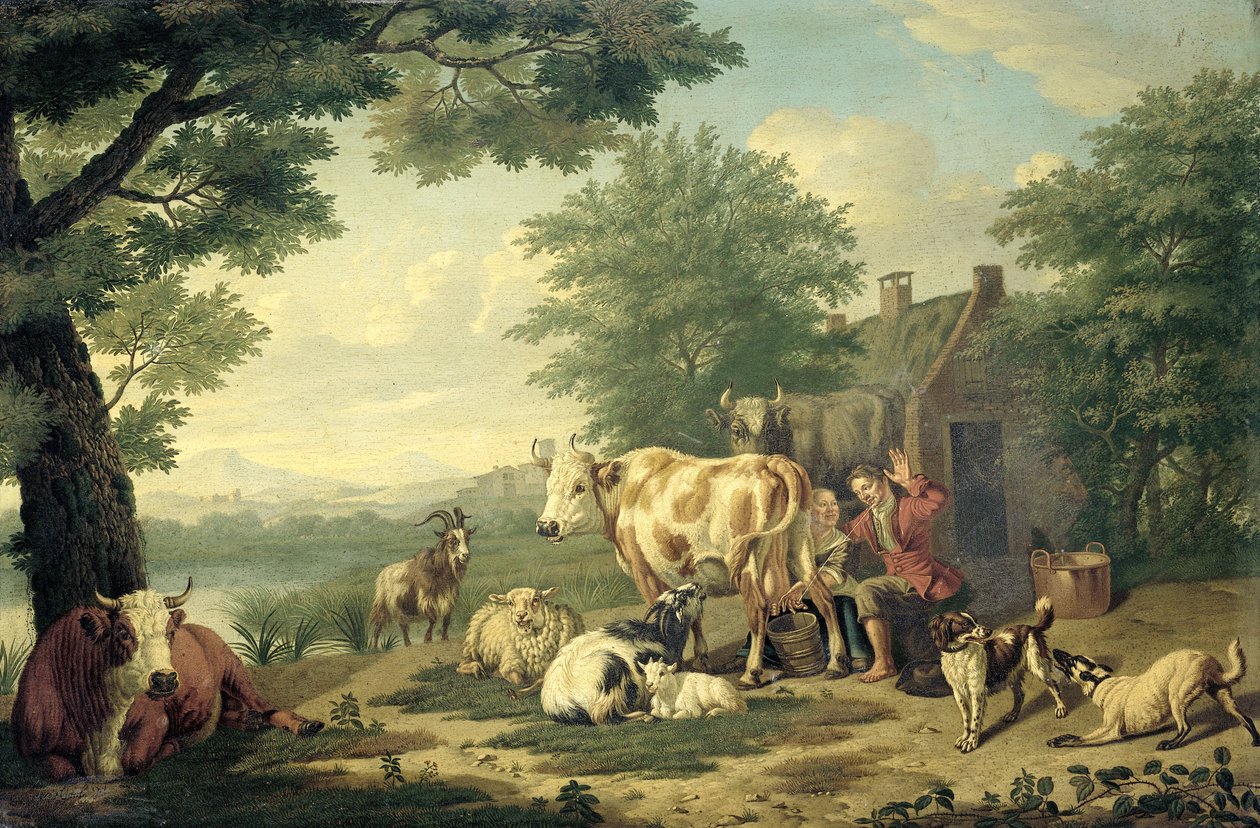  door Jan van Gool