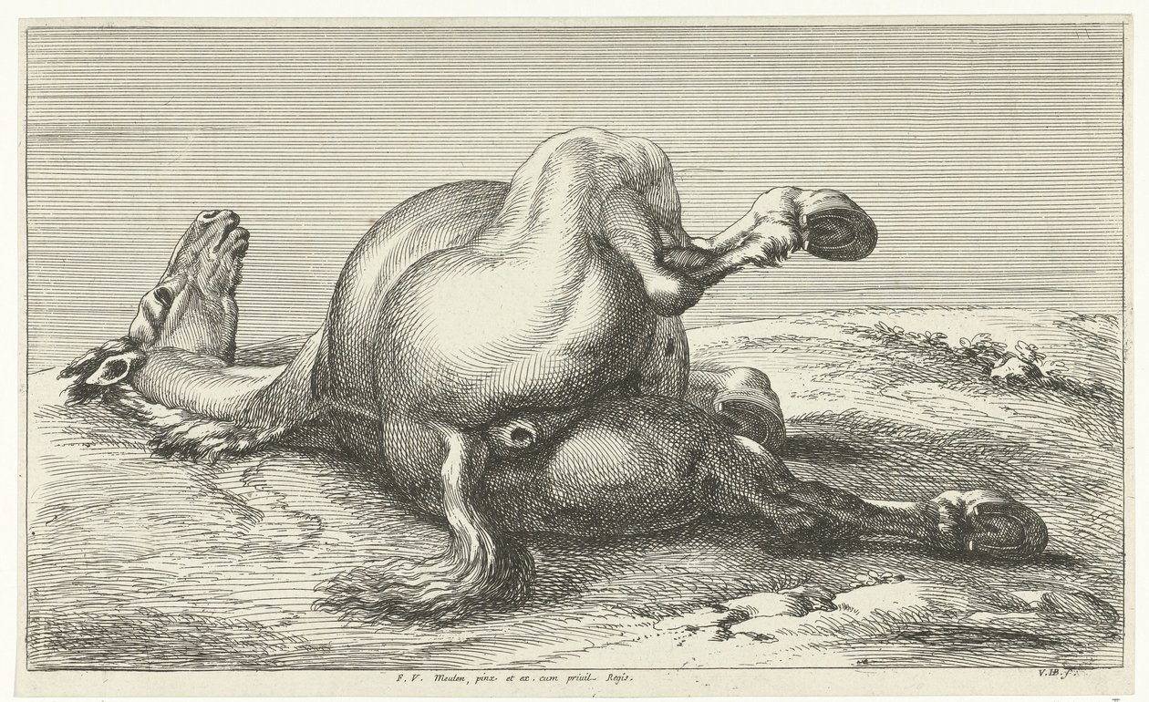 Gesneuveld paard door Jan van Huchtenburg